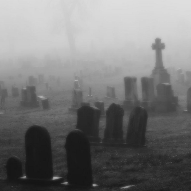 death, do you personally ever think about it cover art