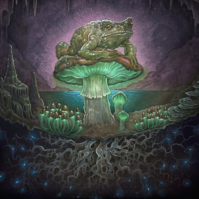 Mycelium Network cover art