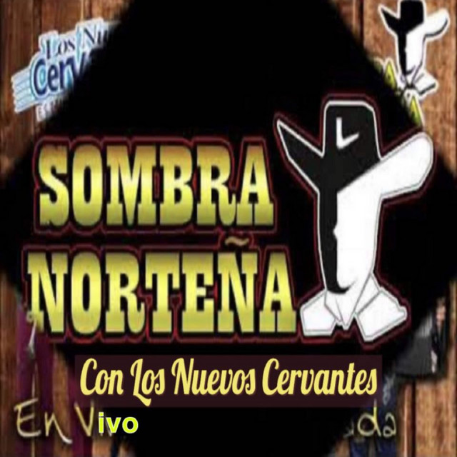 En Vivo Fiesta Privada cover art