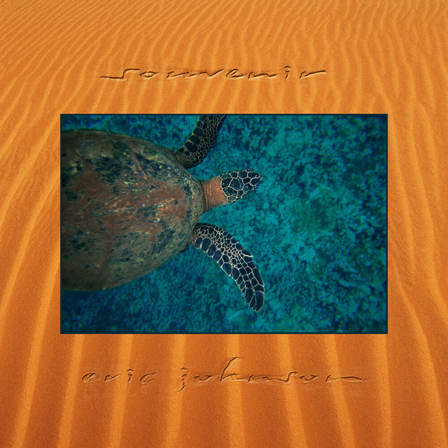 Souvenir cover art