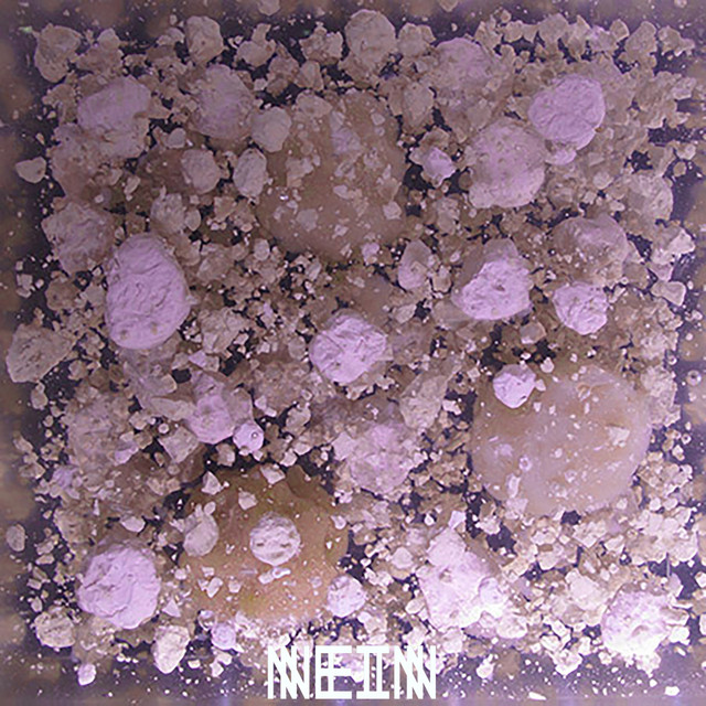 Dust Rings album art