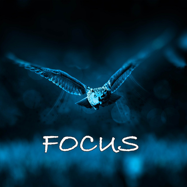 Focus 2025