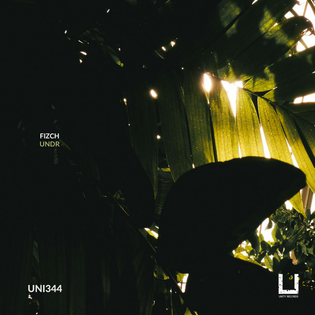 DUIT album art