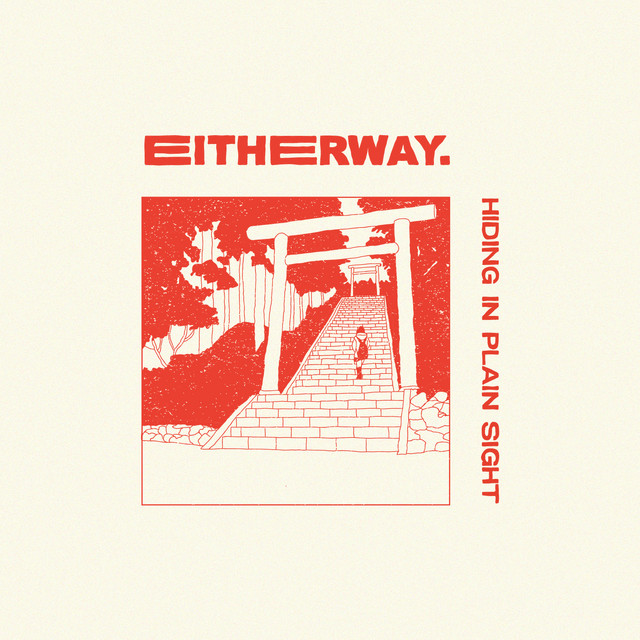 Hiding in Plain Sight cover art