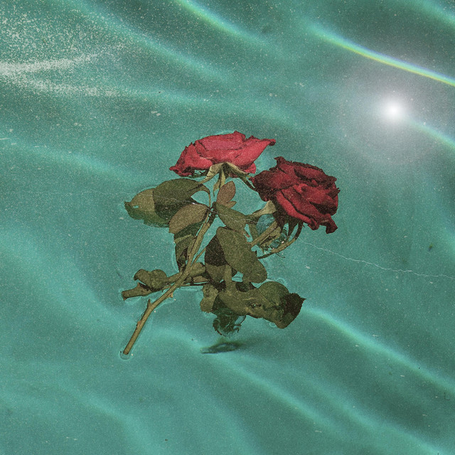 Beautiful Roses - Single by Nowhere near Hollywood | Spotify