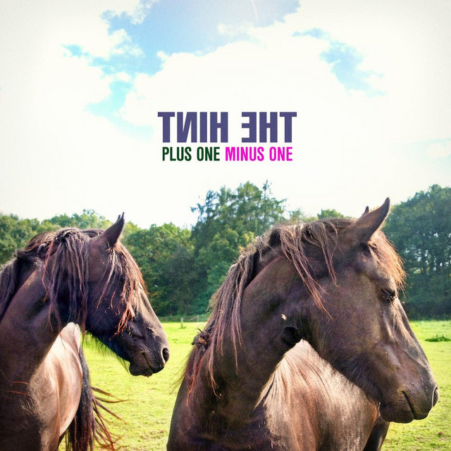 Plus One Minus One cover
