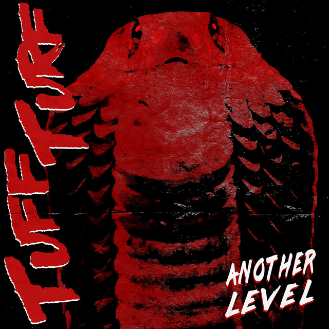Another Level cover art