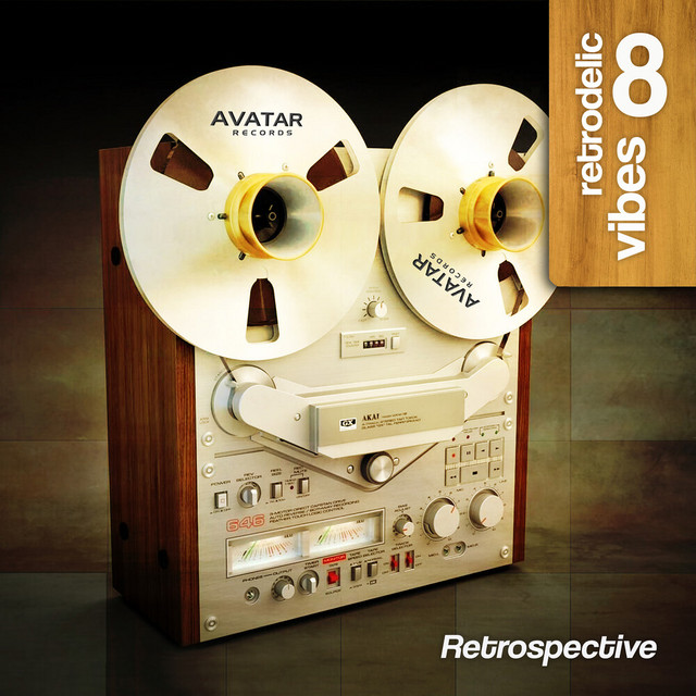 Retrodelic Vibes 8 cover