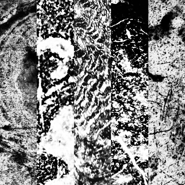 A Stone's Throw From Home cover art