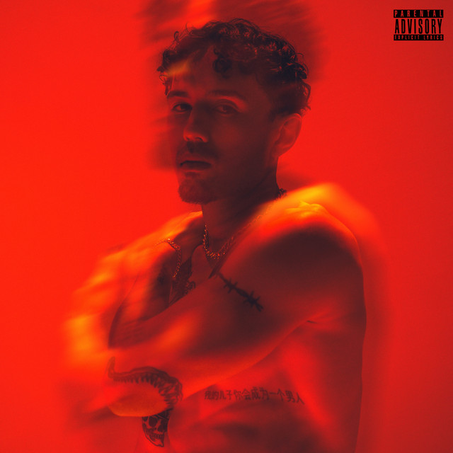 Spleen Boy II cover art
