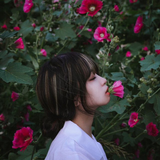 Blooming cover art