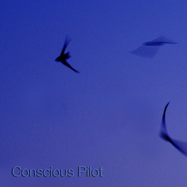 Conscious Pilot cover art