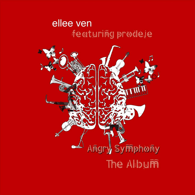 Angry Symphony cover art