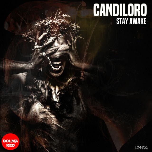 Stay Awake cover art