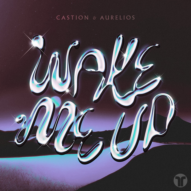 Wake Me Up - Extended Mix album art