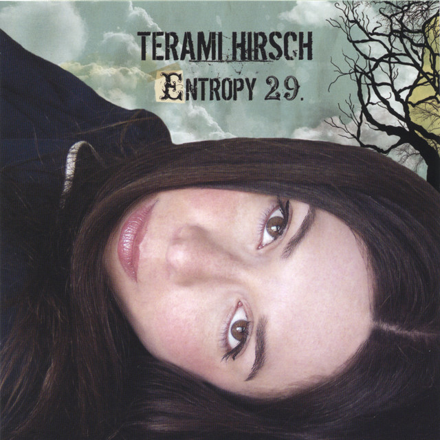 Entropy 29 cover
