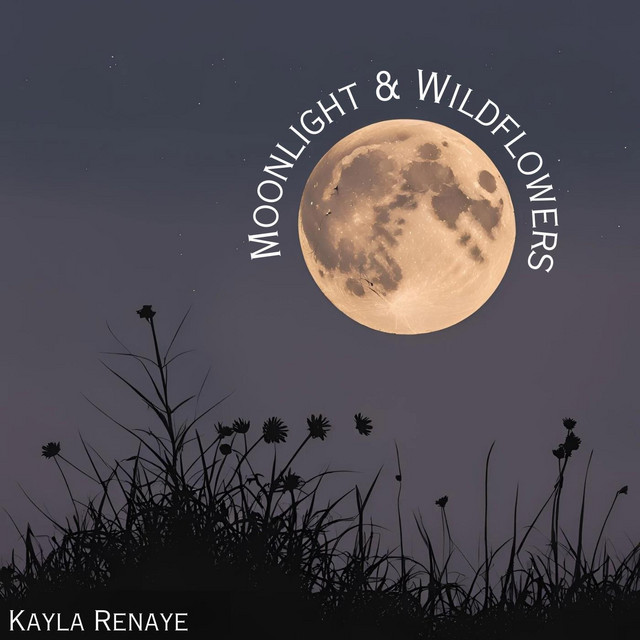 Moonlight & Wildflowers cover art