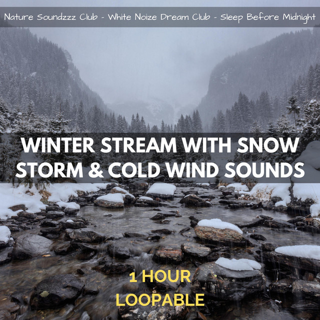 Winter Stream with Snow Storm & Cold Wind Sounds: 1 Hour (Loopable)