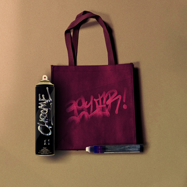 Birkin Bag cover