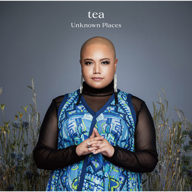 Unknown Places cover art