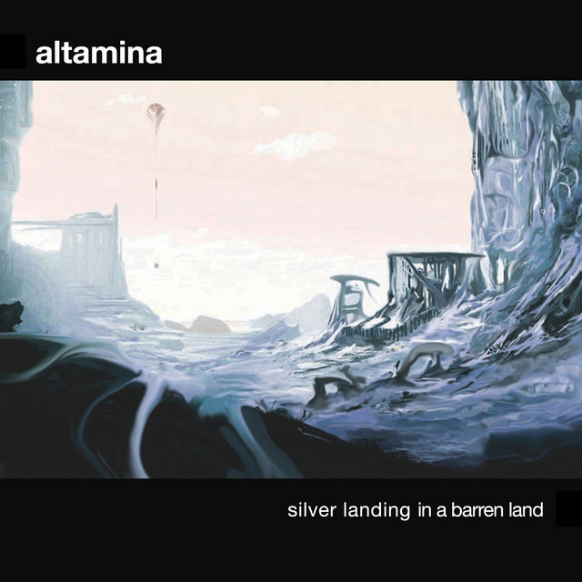 Silver Landing in a Barren Land cover