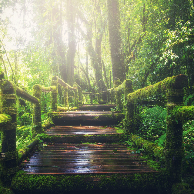 Studying and Concentrate Sounds | Ultimate Wellness Center Sounds, Natural Calm, Spa cover art
