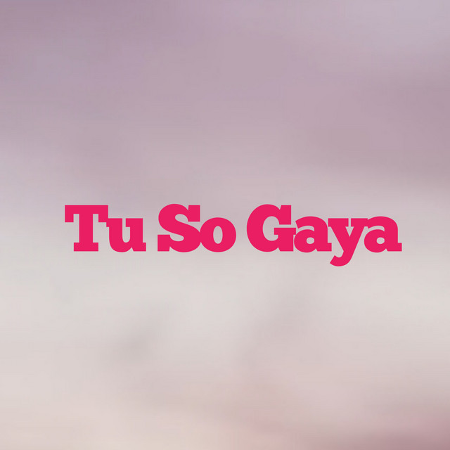 Tu So Gaya cover