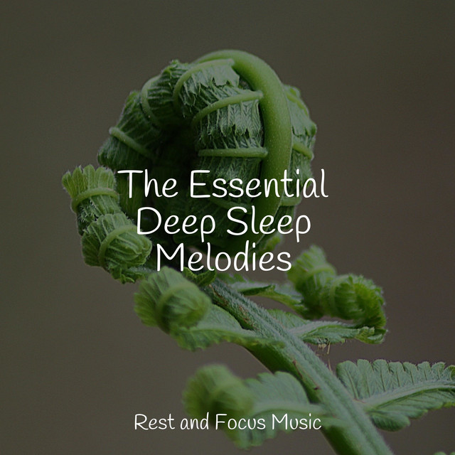 The Essential Deep Sleep Melodies - Album by Relaxing Nature Music ...