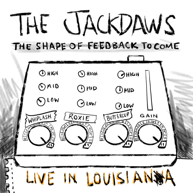 The Shape Of Feedback To Come - Live In Louisiana cover art