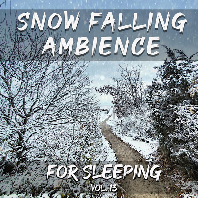 For Sleeping, Vol. 13: Snow Falling Ambience cover art
