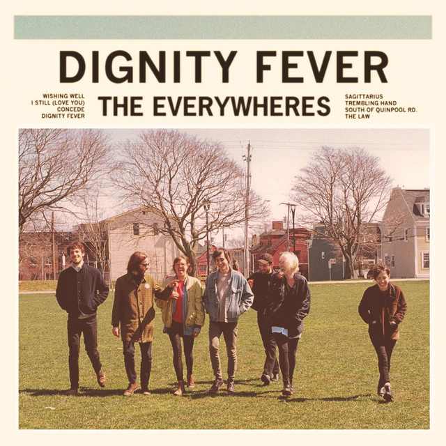 Dignity Fever cover art