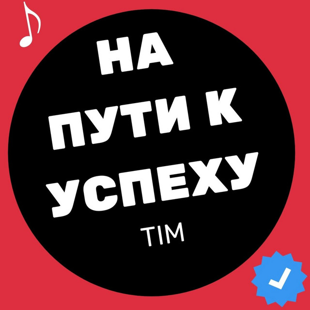 На пути к успеху cover art