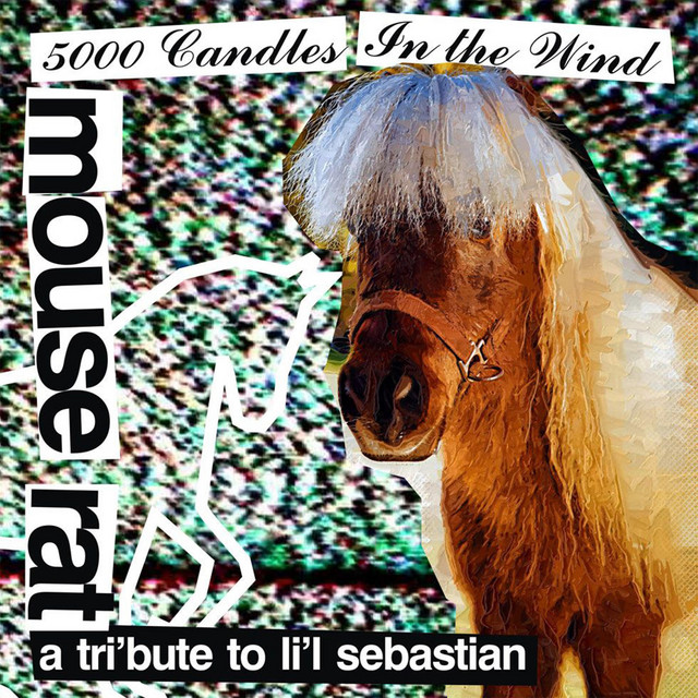 5,000 Candles In The Wind (Bye Bye Li'l Sebastian)