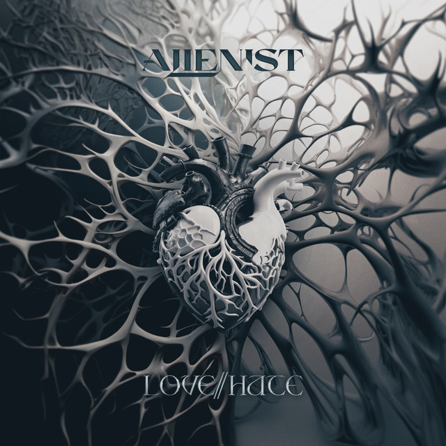 Distorted Reflections cover art