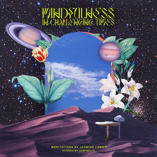 Mindfulness in Challenging Times cover art