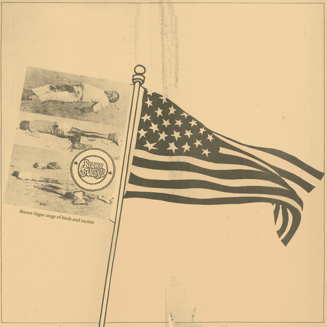 Sings of Birds and Racism cover art