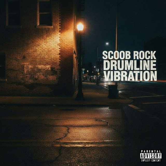 VIBRATION cover