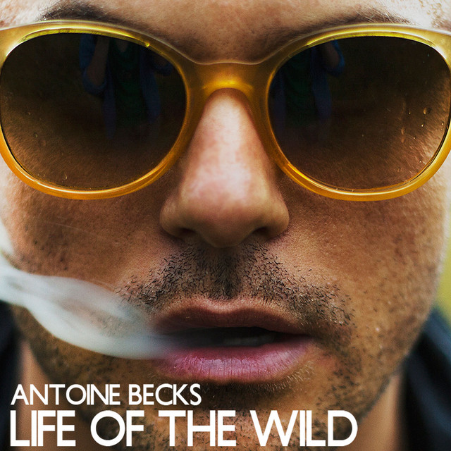 Life of the Wild - Radio Edit cover art