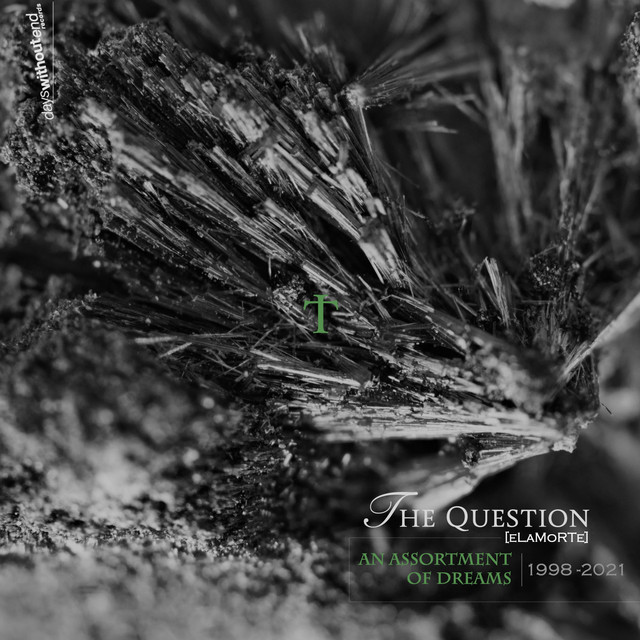 The Question (Elamorte) photo