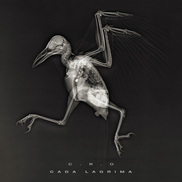 Cada Lágrima cover art