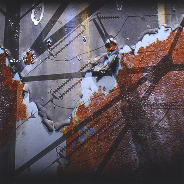 Wetlands cover art