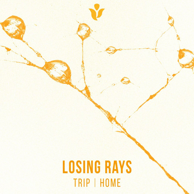 Обкладинка Losing Rays — Trip \ Home