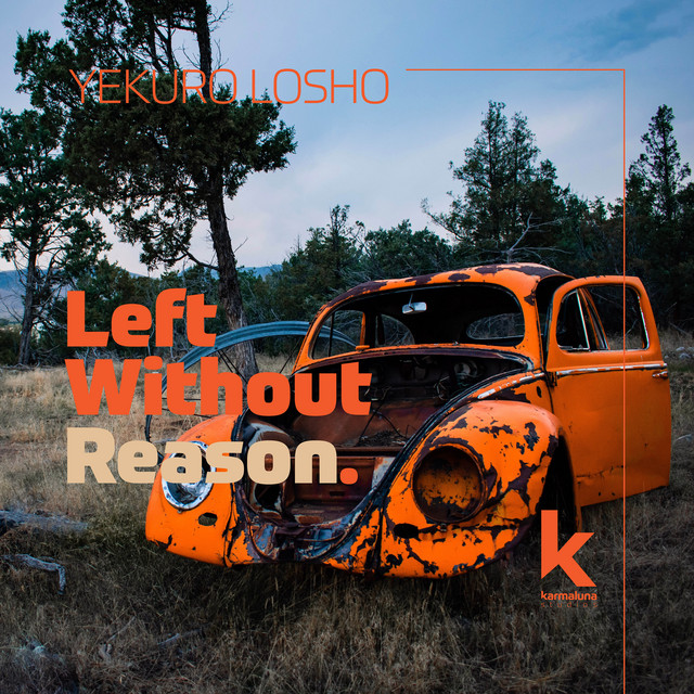 Left Without Reason cover