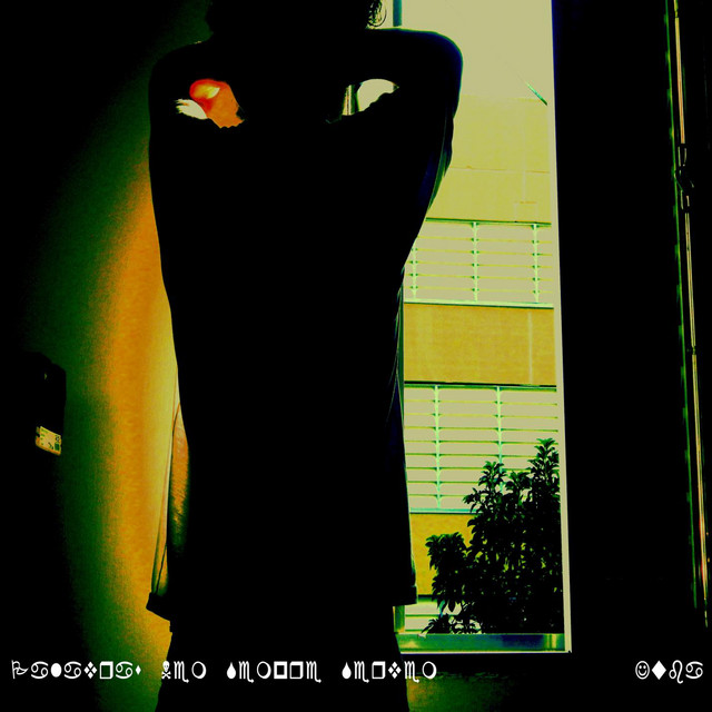 Palavras Nem Sempre Servem cover art