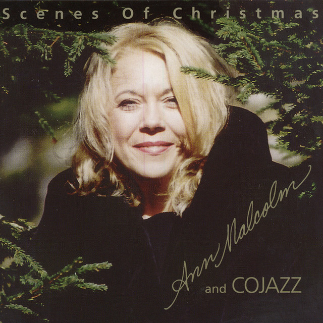Scenes Of Christmas
