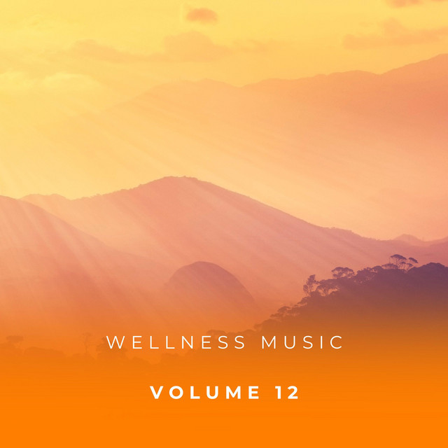 Wellness Music Vol. 12