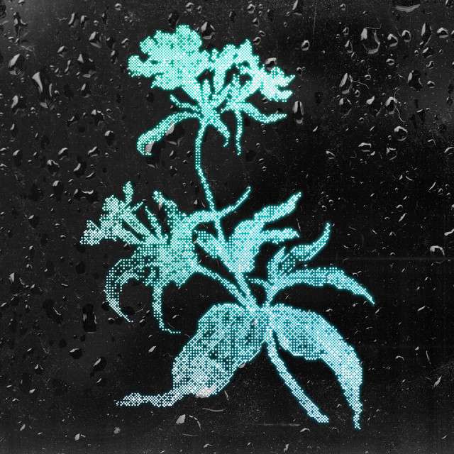 water/grow cover art