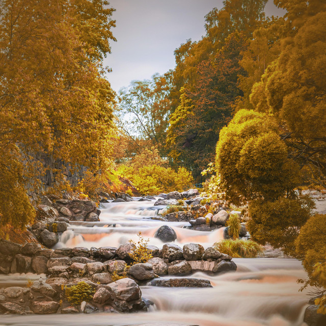 Soothing River stream in Forest for Deep Relaxation - song and lyrics ...