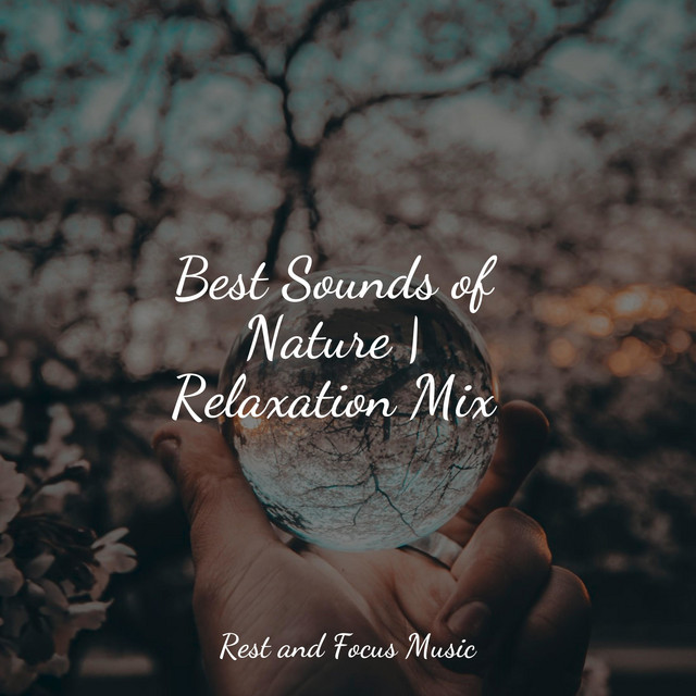 30 Hour of Mindful Anxiety Relief Relaxation - Album by Relax ...