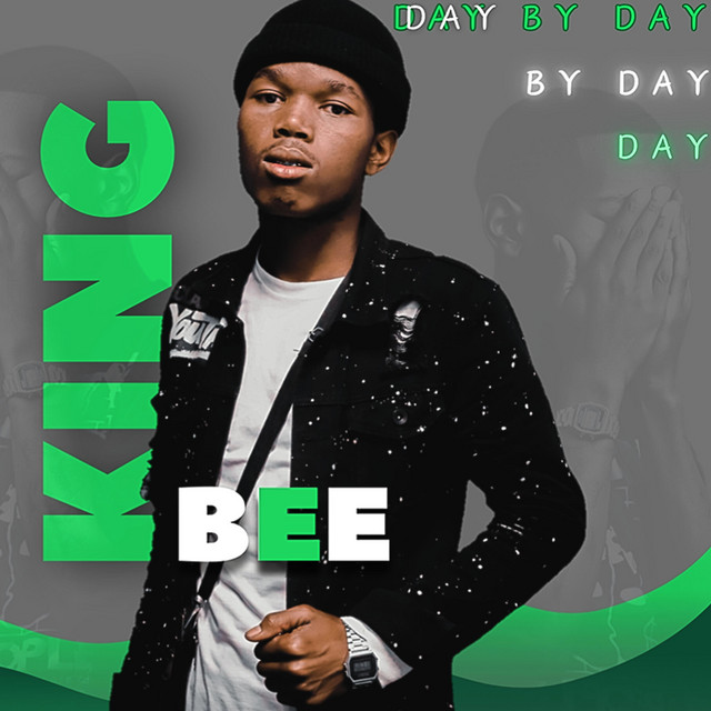 Day By Day cover art